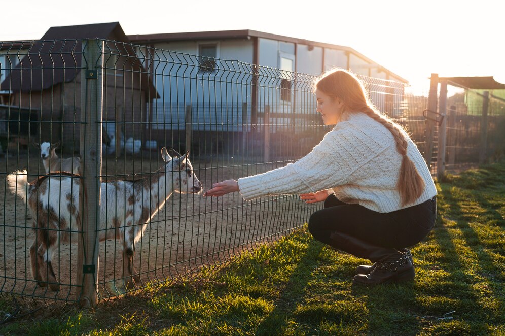 Habitaciones para Aves